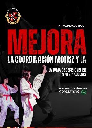 taekwondo Pilsung3