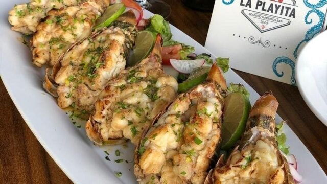 LPLogofood
