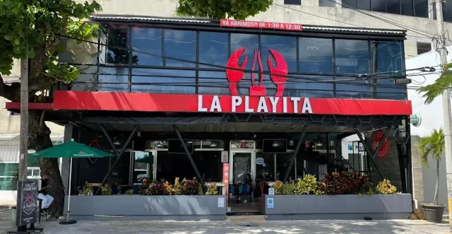 laplayita