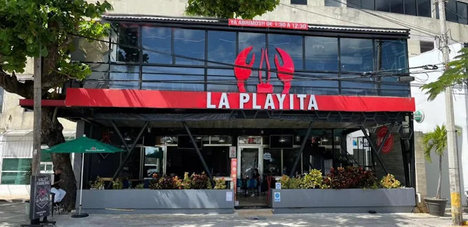 laplayita